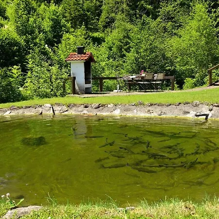 شقة Grunten - Country House Bachtelmuhle